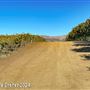 Tejon Ranch