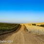 Tejon Ranch