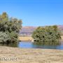 Tejon Ranch