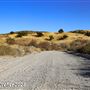 Tejon Ranch