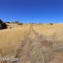 Tejon Ranch