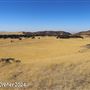 Tejon Ranch