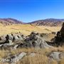 Tejon Ranch