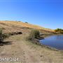 Tejon Ranch