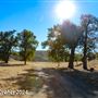 Tejon Ranch