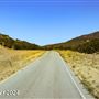 Tejon Ranch