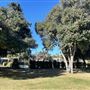 Encino Community Center
