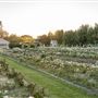 Garden Valley Ranch
