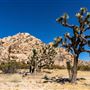 Antelope Valley Indian Museum State Historic Park (SHP)