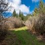 Azalea State Natural Reserve (SNR)