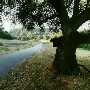 Quail Hollow Ranch County Park