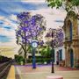 Claremont
