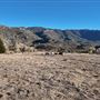 Twin Pines Ranch