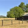 Anderson Marsh State Historic Park (SHP)