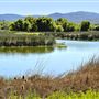 Anderson Marsh State Historic Park (SHP)
