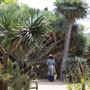San Diego Botanic Garden