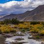 Anza-Borrego Desert State Park (SP)