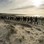 Asilomar State Beach and Conference Grounds
