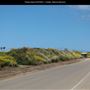 Fiesta Island