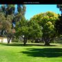 Golden Hill Park