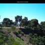 Golden Hill Park