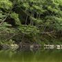 Benbow State Recreation Area (SRA)