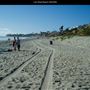Law Street Beach