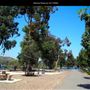 Miramar Reservoir