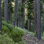 Burton Creek State Park (SP)