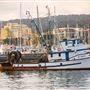 Monterey Harbor & Marina