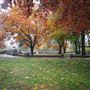 Hooker Oak Park