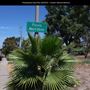 Rancho Penãsquitos Linear Dog Park
