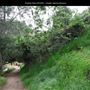 Presidio Park