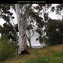 Presidio Park