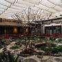 Yamashiro Hollywood - Historic Restaurant, Hotel & Gardens