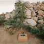High West House: A Boulder Filled Paradise
