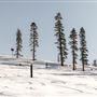 Sierra at Tahoe