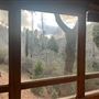 4 Log Cabins and 15 Wooded Acres Near Crestline, CA