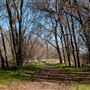 Bidwell-Sacramento River State Park (SP)
