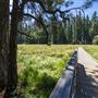 Calaveras Big Trees State Park (SP)
