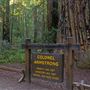 Armstrong Redwoods State Natural Reserve (SNR)