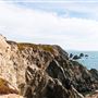 Bodega Head / Dunes (Sonoma Coast State Beach)