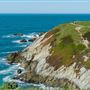 Bodega Head / Dunes (Sonoma Coast State Beach)