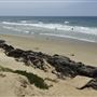Carpinteria State Beach (SB)