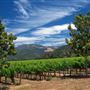 Kunde Family Winery