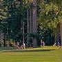 Northwood Golf Club