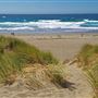 Salmon Creek Beach (Sonoma Coast State Park)
