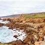 Salt Point State Park (SP)