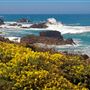 Salt Point State Park (SP)