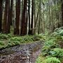 Stillwater Cove Regional Park